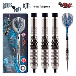 Shot Birds of Prey Kite