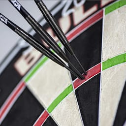 bull-s-geert-nentjes-black-90_ergebnis