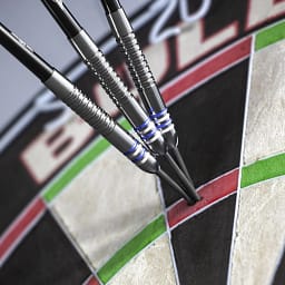 bull-s-mario-vandenbogaerde-80-e2 (1)_ergebnis