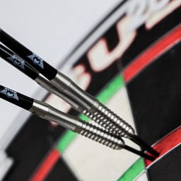 bull-s-sebastian-steyer-e2-90-24-gram (4)_ergebnis