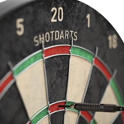 shot-rogue-bristle-dartboard (2)_ergebnis