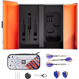 target-raymond-v-barneveld-chrono-95-swiss (3)