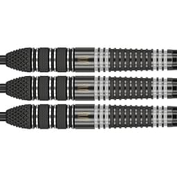 target-raymond-van-barneveld-echo-95-swiss (1)