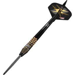 Bulls Richard Veenstra 90 E2 Steeltip Dynamic