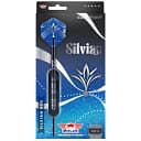 Bulls Silvian Steeltip Package_ergebnis