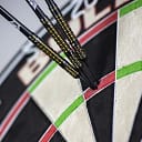 bull-s-kim-huybrechts-90-black-e2 (2)_ergebnis