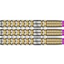 target-luke-littler-g1-prodigy-95 (1)