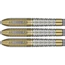 target-raymond-v-barneveld-chrono-95-swiss (1)