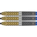 190497_RAYMOND_VAN_BARNEVELD_95�_GEN6_25G_STEEL_TIP_2025_Detail