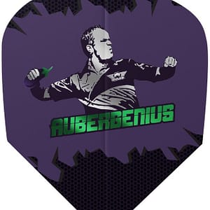 Bull's Player 100 Dirk van Duijvenbode Aubergenius No.6