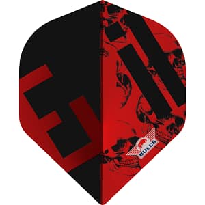 Bull's Player 100 Karel Sedlacek 90 E2 No.2 Flight