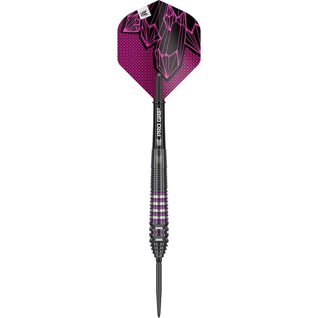 190440 LORRAINE WINSTANLEY G2 24G SP STEEL TIP DARTS 2025 FLAT