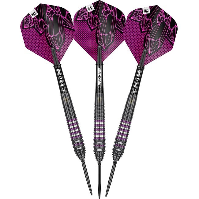 190440 LORRAINE WINSTANLEY G2 24G SP STEEL TIP DARTS 2025 x3