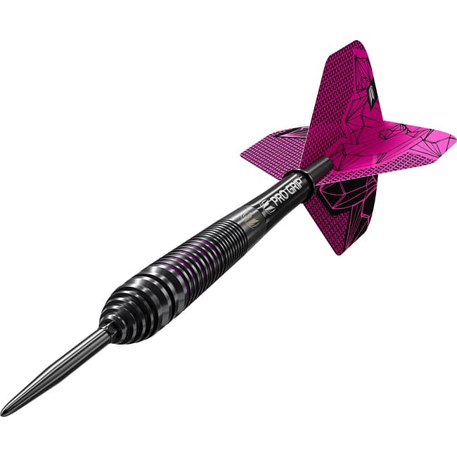 190440 LORRAINE WINSTANLEY G2 24G SP STEEL TIP DARTS DYNAMIC
