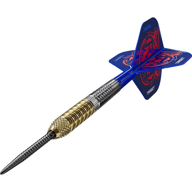 190497_RAYMOND_VAN_BARNEVELD_95�_GEN6_25G_STEEL_TIP_2025_DYNAMIC