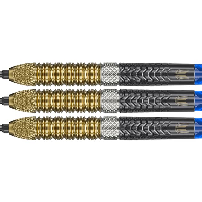 190497_RAYMOND_VAN_BARNEVELD_95�_GEN6_25G_STEEL_TIP_2025_Detail