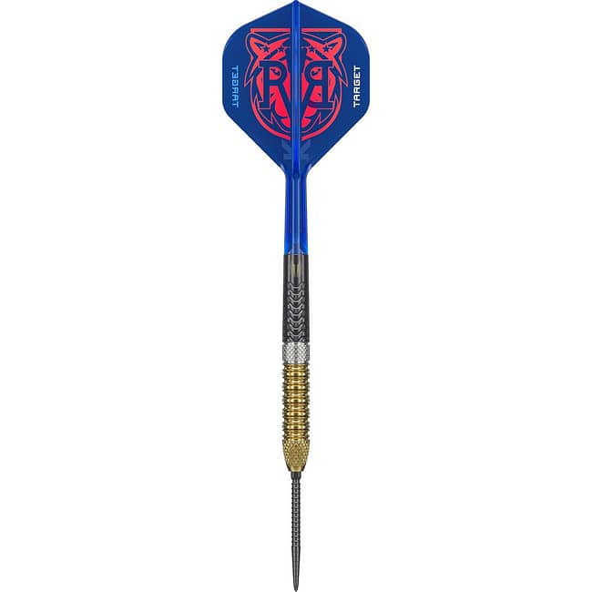 190497_RAYMOND_VAN_BARNEVELD_95�_GEN6_25G_STEEL_TIP_2025_FLAT