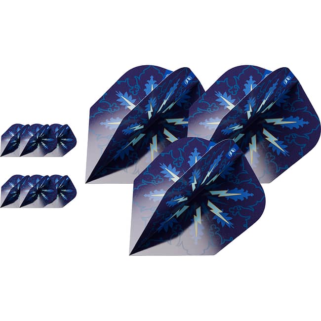338230_PHIL_TAYLOR_POWER_GX2_3_SETS_PRO_ULTRA_NO6_BAGGED_FLIGHT_2025_SET