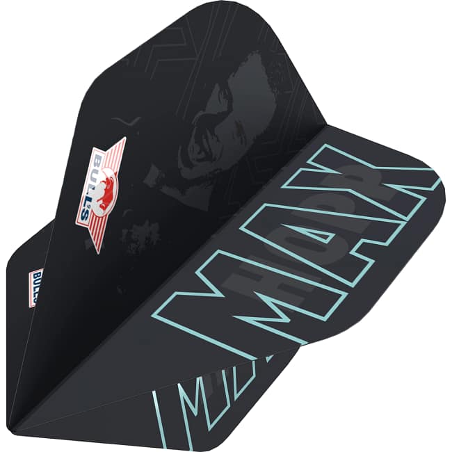 Bulls Max Hopp 80 E2 flight dynamic_ergebnis